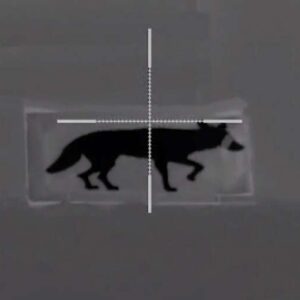 Thermbright Fox/Coyote Passive Thermal Imaging Target